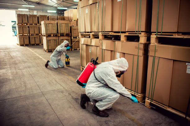 Best Wildlife Control Services  in Elmore, AL