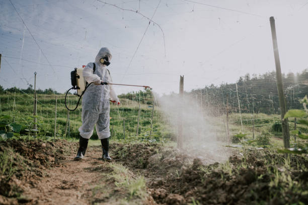 Best Pest Control for Homes  in Elmore, AL