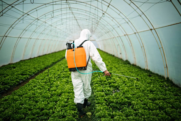 Best Affordable Pest Control Services  in Elmore, AL