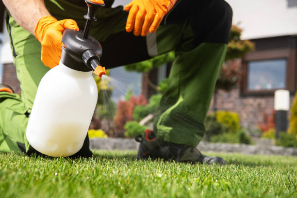 Best Pest Prevention Services  in Elmore, AL