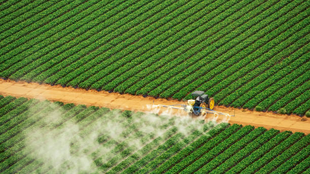 Best Wasp Removal Services  in Elmore, AL